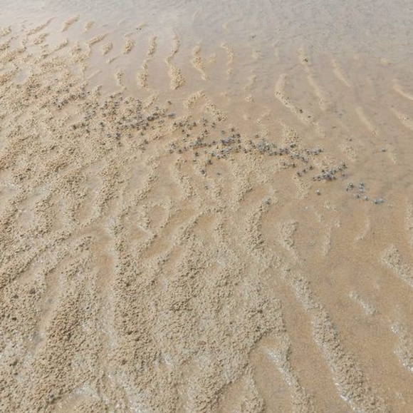 Meet your Posher, Kerri - Picture 1 of 1